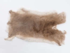 Rex Rabbit: Natural Beige: Gallery Item 
