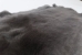 Rex Rabbit: Natural Lilac: Gallery Item - 142-13-G1363 (Y2ERA)