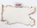 Rex Rabbit: Natural Orange: Gallery Item - 142-14-G1357 (Y2ERA)