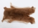 Rex Rabbit: Natural Orange: Gallery Item - 142-14-G1357 (Y2ERA)