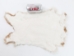 Rex Rabbit: Natural Orange: Gallery Item - 142-14-G1358 (Y2ERA)
