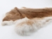 Rex Rabbit: Natural Orange: Gallery Item - 142-14-G1358 (Y2ERA)