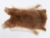 Rex Rabbit: Natural Orange: Gallery Item - 142-14-G1358 (Y2ERA)