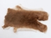 Rex Rabbit: Natural Orange: Gallery Item - 142-14-G1360 (Y2FXX)