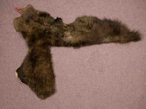 Craft Grade Buffalo Hide Piece: Gallery Item 