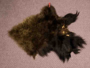 Craft Grade Buffalo Hide Piece: Gallery Item 