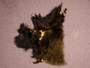 Craft Grade Buffalo Hide Piece: Gallery Item 