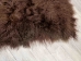 Discounted Chocolate Brown Tibet Lamb Plate: Gallery Item - 167-G3941 (Y1LRN)