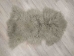 Tibet Lamb Skin: Gray Dyed: Gallery Item - 167-S-G4236 (Y3MXX)