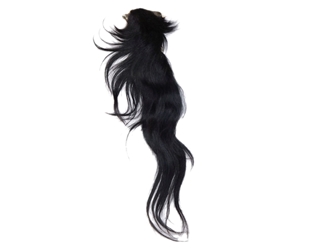 Tanned Horse Tail: Black: Gallery Item 