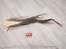 Tanned Horse Tail: Multi Color: Gallery Item - 18-06T-G2568 (Y3O)