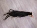 Tanned Horse Tail: Gallery Item - 18-06T-G3843 (Y1HRG)
