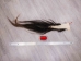 Tanned Horse Tail: Gallery Item - 18-06T-G3846 (Y1HRG)