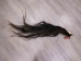 Tanned Horse Tail: Gallery Item - 18-06T-G3849 (Y1HRG)