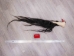 Tanned Horse Tail: Gallery Item - 18-06T-G3850 (Y1HRG)