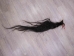 Tanned Horse Tail: Gallery Item - 18-06T-G3850 (Y1HRG)