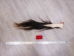 Tanned Horse Tail: Gallery Item - 18-06T-G3852 (Y1HRG)