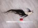 Tanned Horse Tail: Gallery Item - 18-06T-G3853 (Y1HRG)