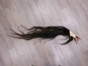 Tanned Horse Tail: Gallery Item 