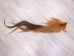 Tanned Horse Tail: Gallery Item - 18-06T-G3855 (Y1HRG)
