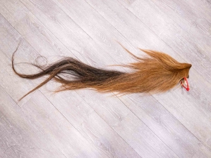 Tanned Horse Tail: Gallery Item 