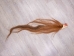 Tanned Horse Tail: Gallery Item - 18-06T-G3856 (Y1HRG)