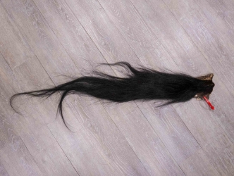 Tanned Horse Tail: Gallery Item 