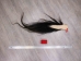 Tanned Horse Tail: Gallery Item - 18-06T-G3860 (Y1HRG)