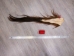 Tanned Horse Tail: Gallery Item - 18-06T-G3862 (Y1HRG)