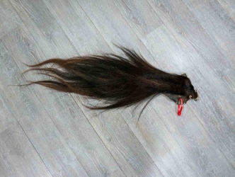 Tanned Horse Tail: Gallery Item 