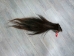 Tanned Horse Tail: Gallery Item - 18-06T-G3868 (Y1HRG)