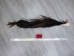 Tanned Horse Tail: Gallery Item - 18-06T-G3869 (Y1HRG)
