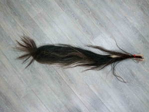 Tanned Horse Tail: Gallery Item 