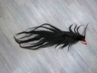 Tanned Horse Tail: Gallery Item 