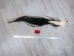 Tanned Horse Tail: Gallery Item - 18-06T-G3872 (Y1HRG)