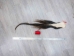 Tanned Horse Tail: Gallery Item - 18-06T-G3873 (Y1HRG)