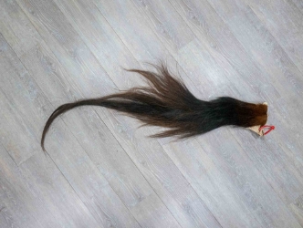 Tanned Horse Tail: Gallery Item 