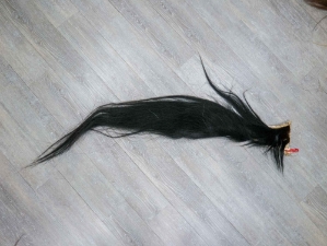 Tanned Horse Tail: Gallery Item 