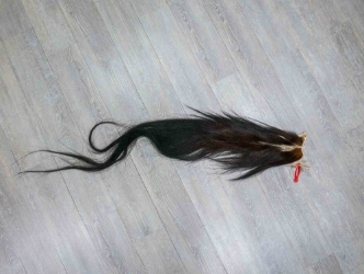 Tanned Horse Tail: Gallery Item 