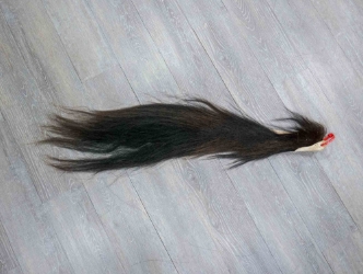 Tanned Horse Tail: Gallery Item 