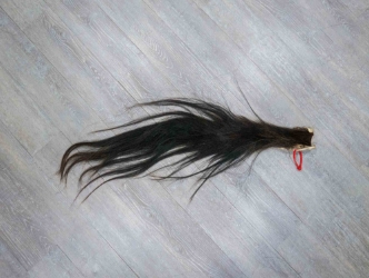 Tanned Horse Tail: Gallery Item 
