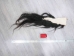 Tanned Horse Tail: Gallery Item - 18-06T-G3882 (Y1HRG)