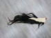 Tanned Horse Tail: Gallery Item - 18-06T-G3882 (Y1HRG)