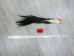 Tanned Horse Tail: Gallery Item - 18-06T-G3884 (Y1HRG)