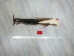 Tanned Horse Tail: Gallery Item - 18-06T-G3885 (Y1HRG)