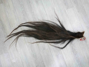 Tanned Horse Tail: Gallery Item 