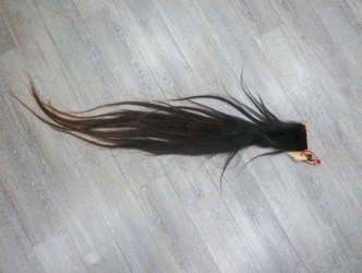 Tanned Horse Tail: Gallery Item 