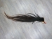 Tanned Horse Tail: Gallery Item - 18-06T-G3888 (Y1HRG)
