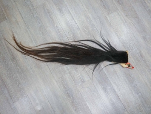 Tanned Horse Tail: Gallery Item 