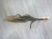 Tanned Horse Tail: Gallery Item - 18-06T-G3889 (Y1HRG)